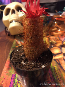 Dead Copper King with Strawflower from Home Depot
