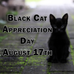 August 17th is Black Cat Appreciation Day!