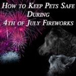 How to Keep Pets Safe During Fireworks