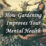 Mental Health Benefits of Gardening